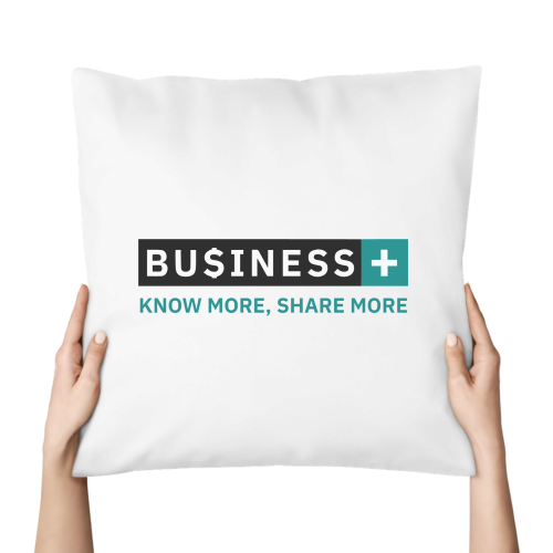 Oreiller BUSINESS+ Vert